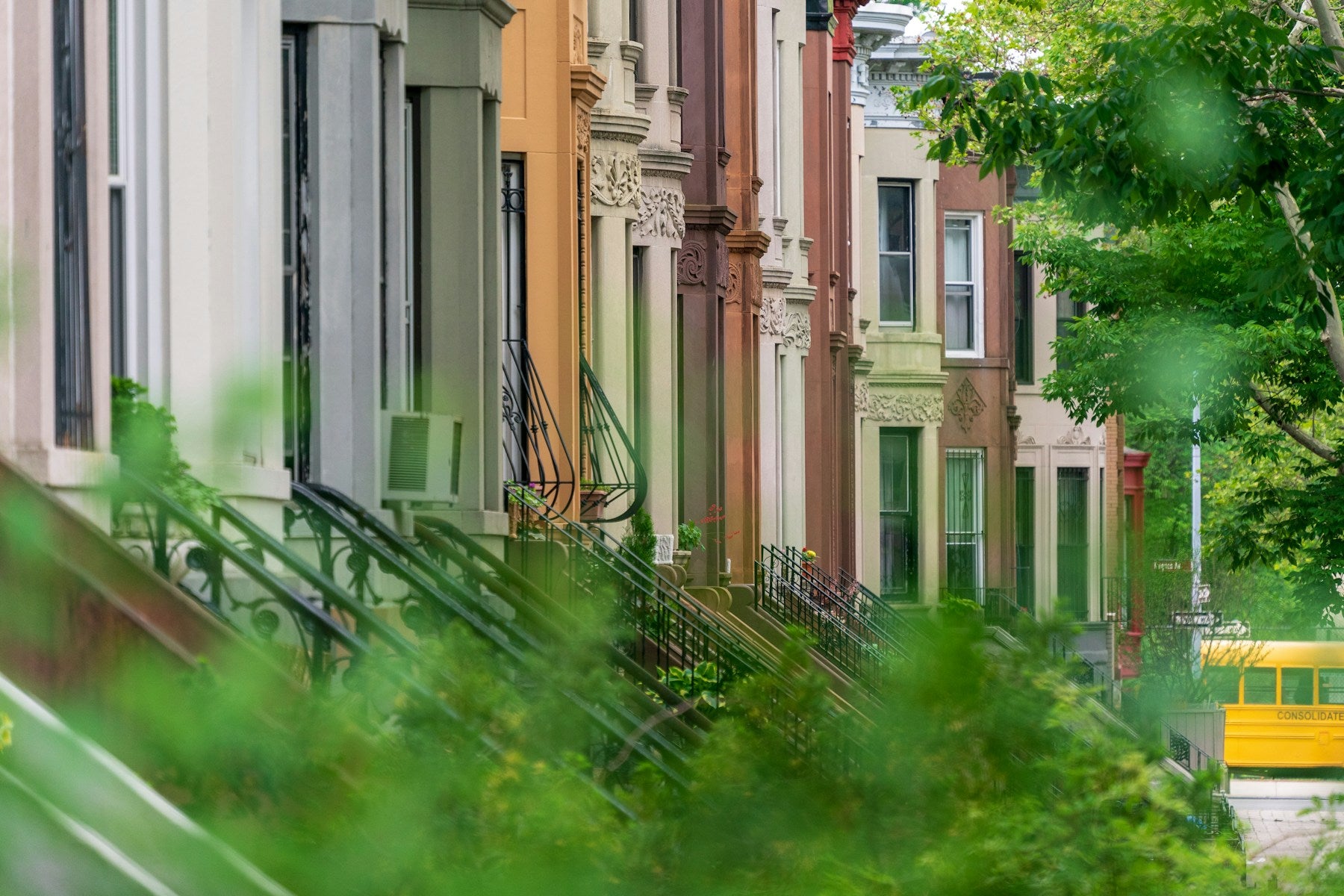 A row of city brownstones along a tree-lined street